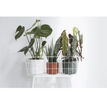 Übertopf elho b. for soft Kunststoff Ø 18 H 17 cm weiß