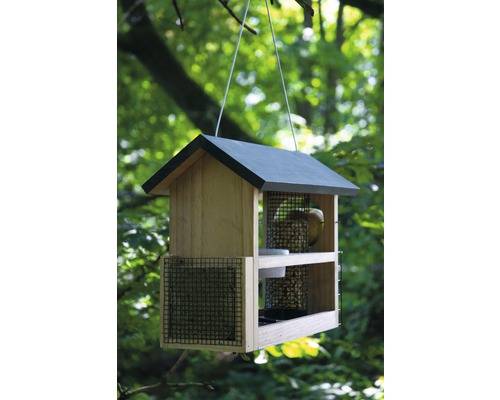 Maison pour oiseaux avec nourriture, suspendue à un arbre