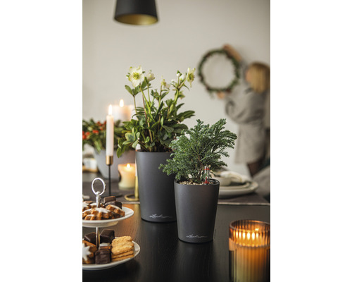 Table décorative avec plantes en pot, pâtisseries, bougies et une personne accrochant une couronne.