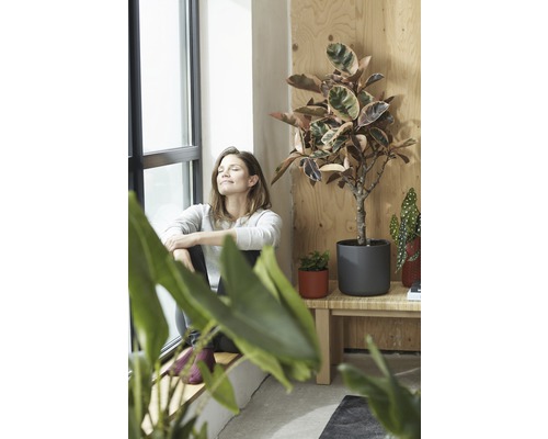 Intérieur lumineux avec une femme à la fenêtre et diverses plantes d''intérieur en pot sur un banc.