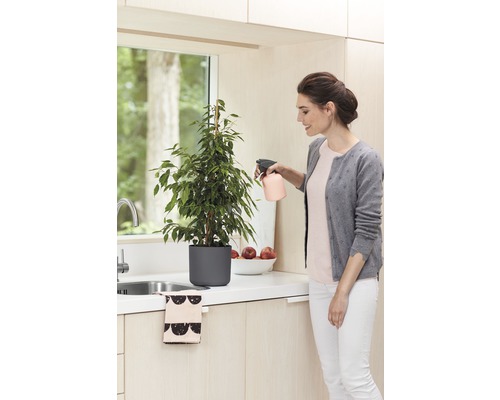 Femme arrosant une plante d''intérieur en pot avec un vaporisateur dans une cuisine