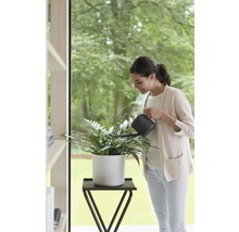 Femme arrosant une plante d''intérieur dans un pot blanc avec un arrosoir noir sur une table d''appoint