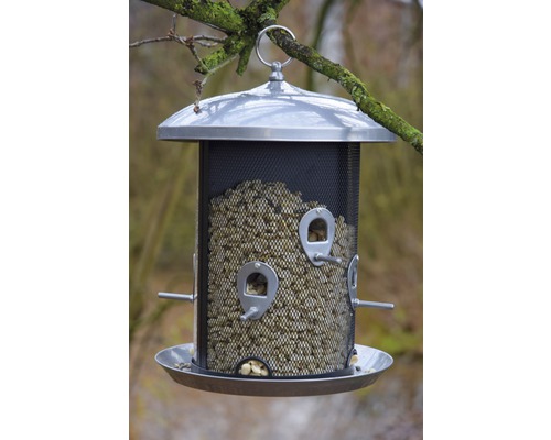 Mangeoire à oiseaux avec nourriture à suspendre