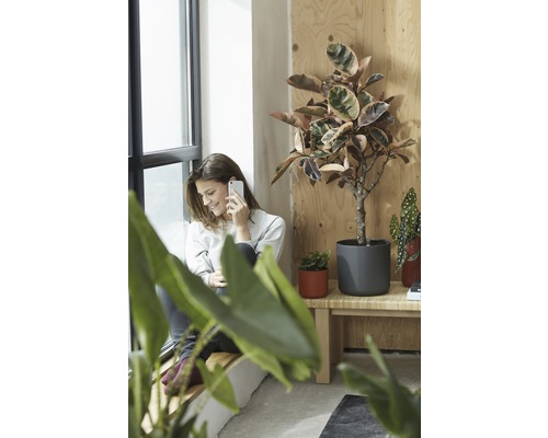 Femme téléphone à côté de plantes d''intérieur en pot sur un rebord de fenêtre et une table d''appoint.
