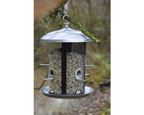 Mangeoire à oiseaux avec nourriture à suspendre à une branche