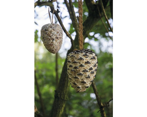 Deux pommes de pin avec de la nourriture pour oiseaux accrochées à un arbre
