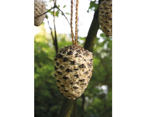 Nourriture pour oiseaux en forme de pomme de pin avec cordon de suspension dans le jardin.