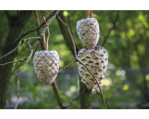 Trois mangeoires pour oiseaux en forme de cône de pin suspendues à un arbre