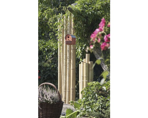 Scène de jardin avec des tiges de bambou et une cabane à oiseaux