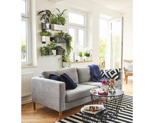 Wohnzimmer mit grauem Sofa, Wandbepflanzung und schwarzen Draht-Couchtischen