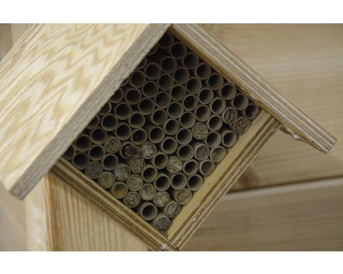 Hôtel à insectes avec tubes pour la colonisation d''insectes