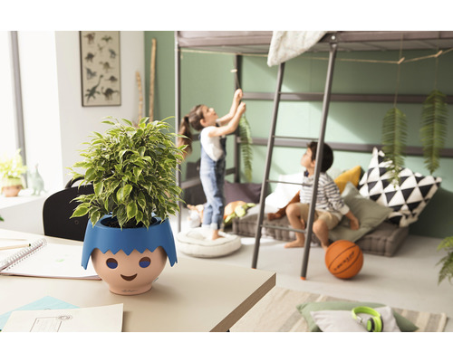 Vue d''une pièce avec une plante d''intérieur dans un pot décoratif sur une table, un enfant sur un lit mezzanine en arrière-plan