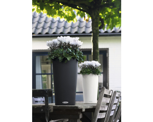 Deux pots de fleurs avec des fleurs sur une table en bois à l''extérieur