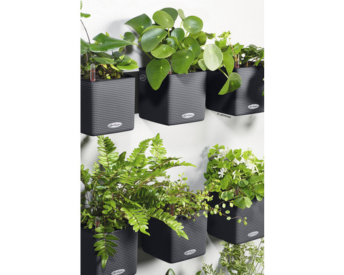 Wandbepflanzung mit verschiedenen Pflanzen in strukturierten, grauen Pflanzgefäßen