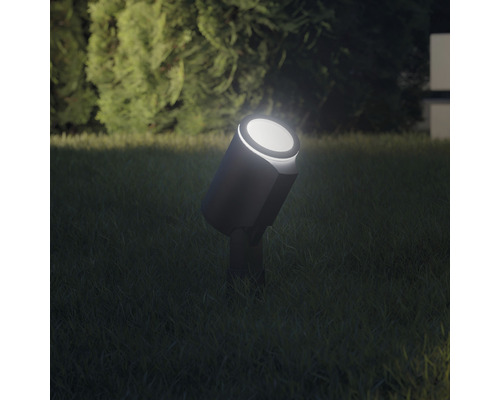 Gartenstrahler auf Rasen beleuchtet im Garten