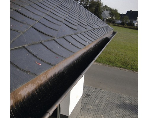 Dach mit Dachrinne zur Wasserableitung