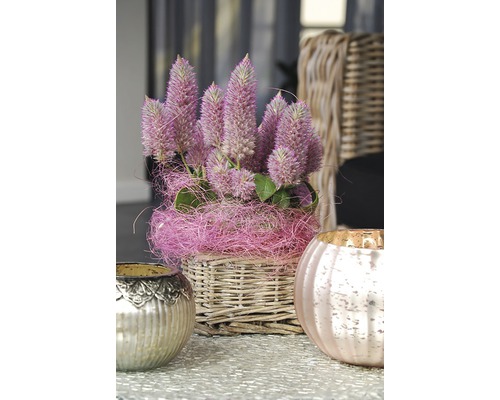 Arrangement floral décoratif dans un panier avec deux photophores