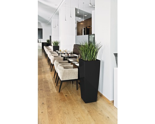 Restaurant avec tables, chaises et hauts bacs à plantes