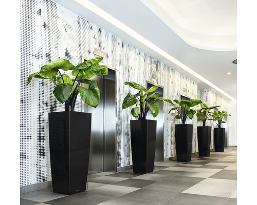 Rangée de bacs à plantes noirs avec des plantes dans un couloir avec des ascenseurs