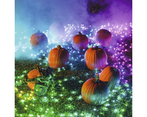 Scène d''Halloween avec des citrouilles et un éclairage décoratif à l''extérieur.