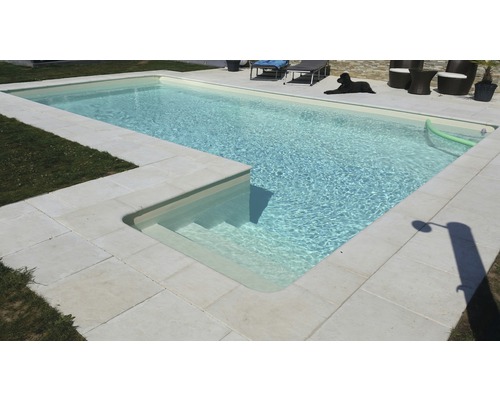 Piscine avec escalier et bordure en pierre dans le jardin