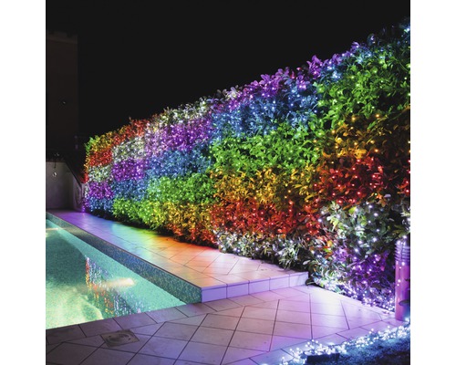 Haie illuminée avec des lumières près de la piscine