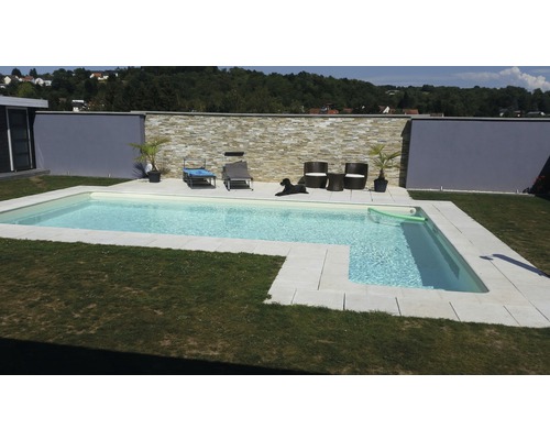 Piscine extérieure avec chaises longues, salon de jardin et chien dans le jardin