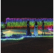 Fête dans le jardin avec bassin et haie lumineuse