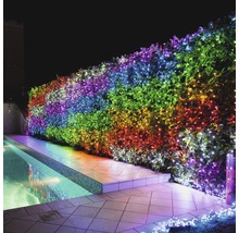 Haie de jardin avec guirlande lumineuse colorée à côté d''une piscine