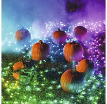 Scène avec plusieurs citrouilles et guirlandes lumineuses pour décoration d''Halloween