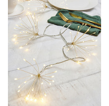 Feu d'artifice LED guirlande lumineuse Lafiora 500 LED 9,5 m + alimentation 5 m couleur d'éclairage blanc chaud avec minuterie et variateur