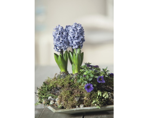 Arrangement avec des jacinthes et autres fleurs de printemps dans un bol.