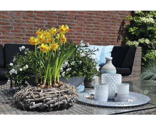 Scène d''extérieur avec des jonquilles dans une jardinière en bois et des photophores sur une table