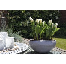 Tulipes blanches dans un pot gris sur une table d''extérieur, entourées d''objets de décoration