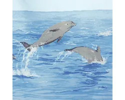 Illustration de dauphins sautant dans la mer
