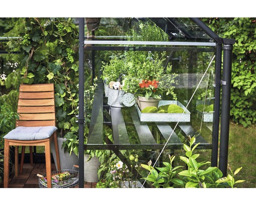 Serre avec des plantes sur une étagère, entourée de végétation de jardin