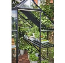 Tisch Halls JULIANA für Gewächshaus Qube 68 244 x 64 cm schwarz