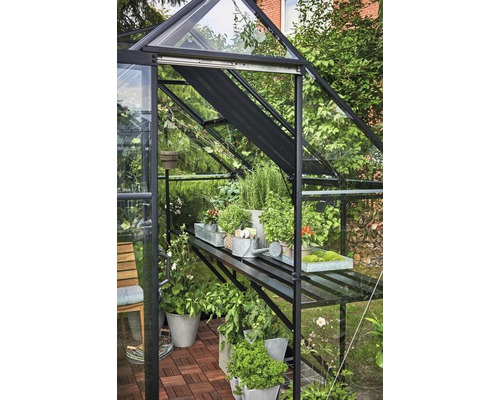 Serre avec plantes et étagères dans le jardin