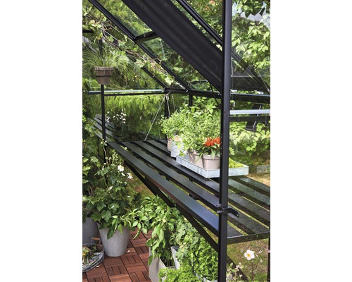 Intérieur de serre avec des plantes sur des étagères.