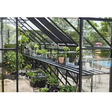 Serre avec plantes et accessoires de jardin