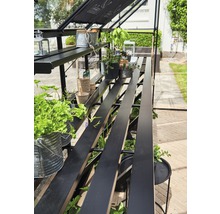 Serre avec plantes et étagères pour le jardin