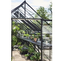 Serre avec plantes et étagères
