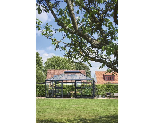 Serre dans jardin avec pelouse et arbres