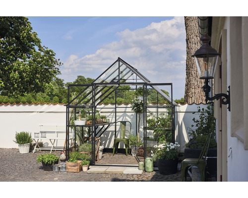 Gewächshaus Halls Qube 88 3 mm Sicherheitsglas 261 x 261 cm schwarz Gewächshaus mit Pflanzen und Gartengeräten im Aussenbereich.