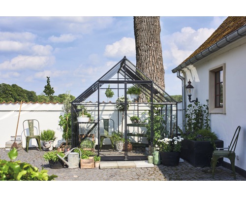 Serre avec plantes et accessoires de jardin à l''extérieur.