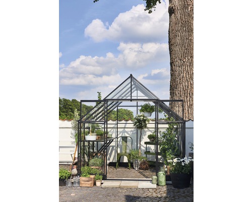 Serre avec plantes et outils de jardin devant un mur blanc