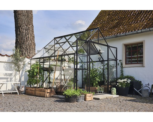 Serre avec plantes dans un jardin