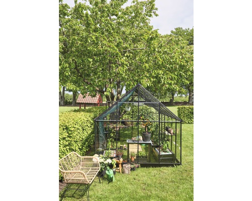 Serre dans le jardin avec des plantes et des meubles de jardin