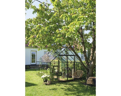 Serre de jardin avec plantes, chaises et arbre.