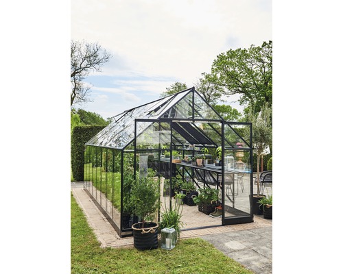 Gewächshaus Halls Qube 816 3 mm Sicherheitsglas 261 x 508 cm schwarz Gewächshaus mit Pflanzen im Garten